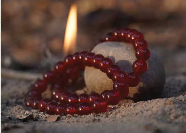 Red Bracelet