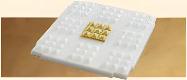 Fortune Chip