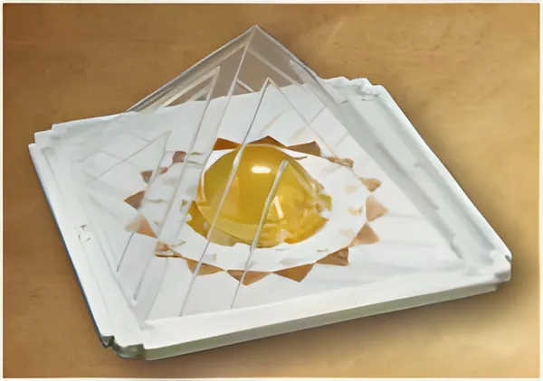 Fortune Wish