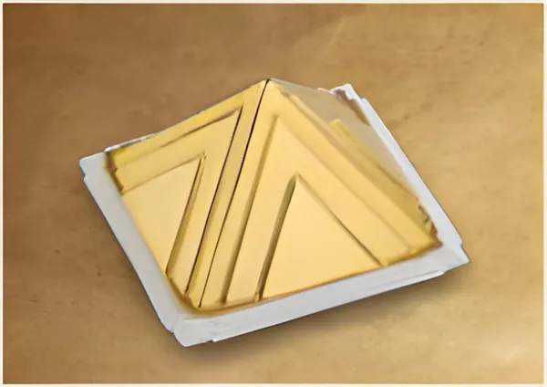 V.pro Gold (Vehicle Protection)